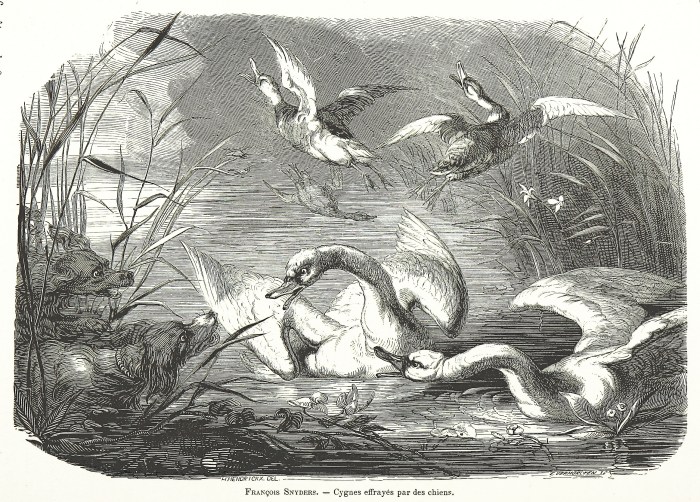 270_of_'La_Belgique_illustrée,_ses_monuments,_ses_paysages,_ses_œuvres_d'art._Publiée_sous_la_direction_de_M._E._van_Bemmel._500_gravures_..._par_les_premiers_artistes,_cartes,_etc'_(11124036855) (1).jpg