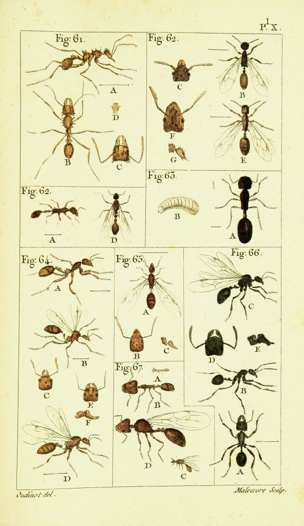 9260118705_91a171d0dc_3k