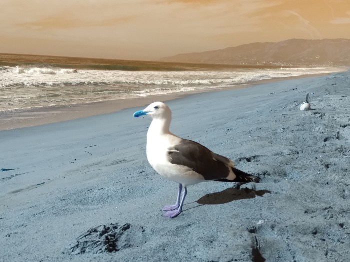 IMG_20200127_122554127