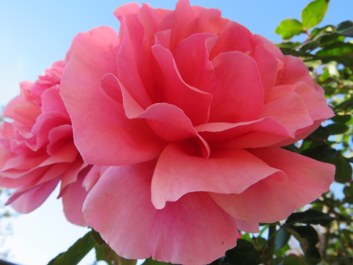 20210407062306_IMG_1499