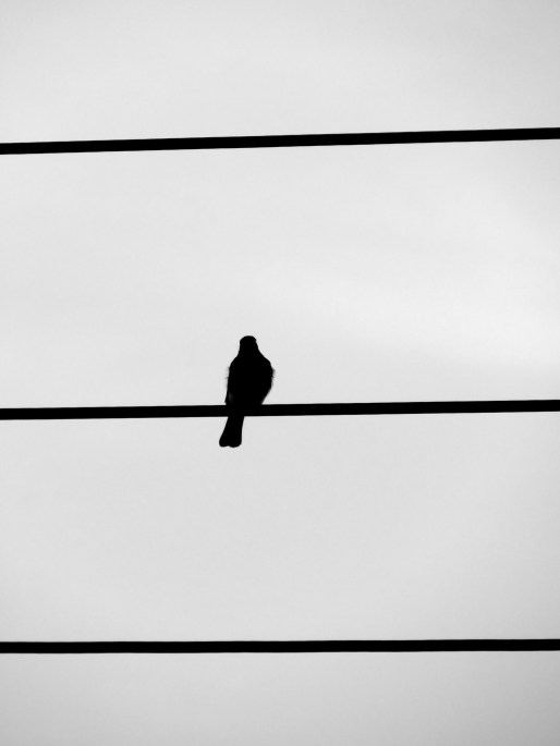 20200816083609_IMG_0808