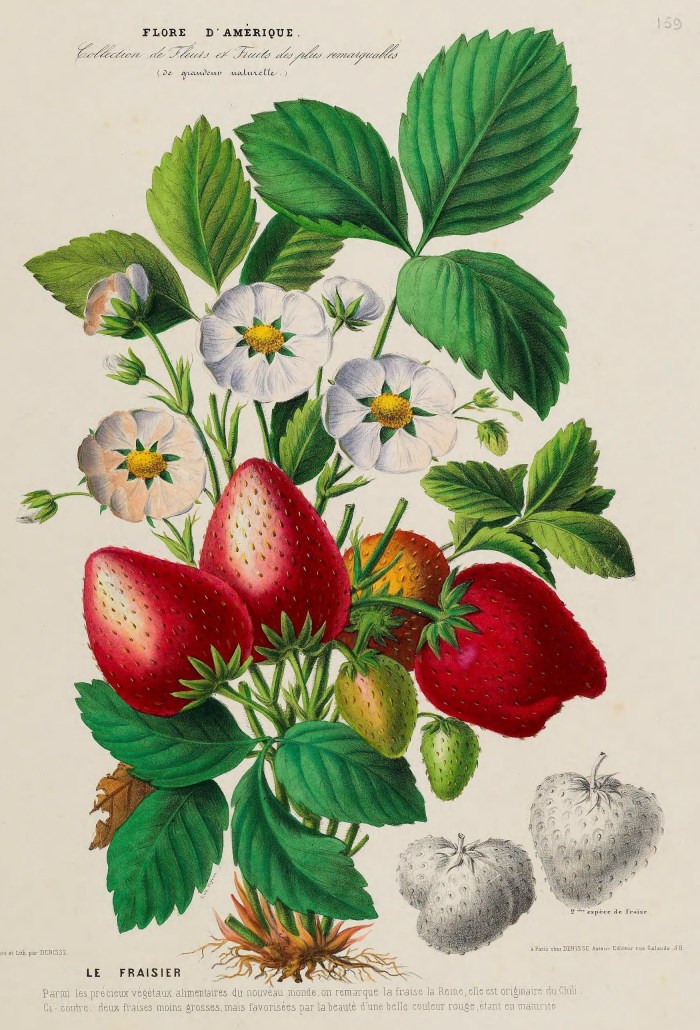 33887799773_0710ec9366_o