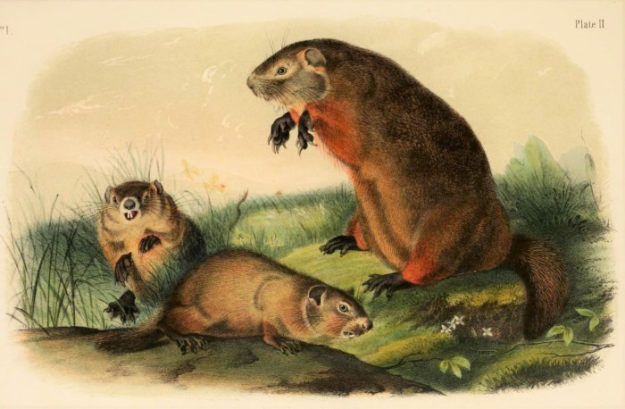 6260942220_d1f7d19eca_o