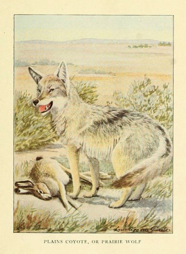 6216706189_a028aae1b6_o