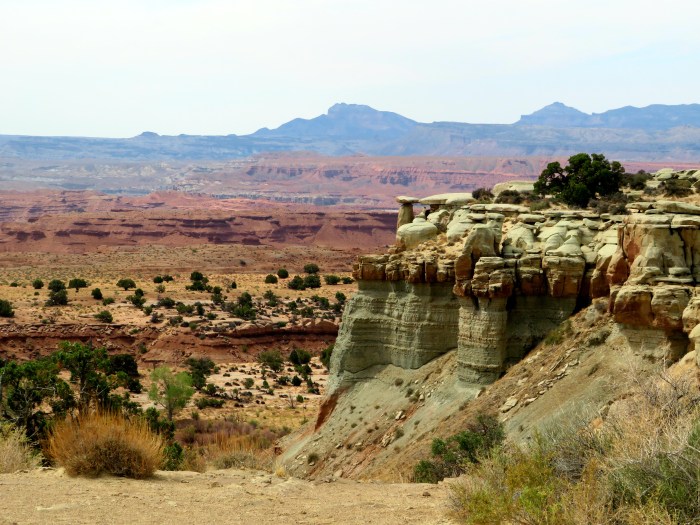 20210721231734_IMG_2077