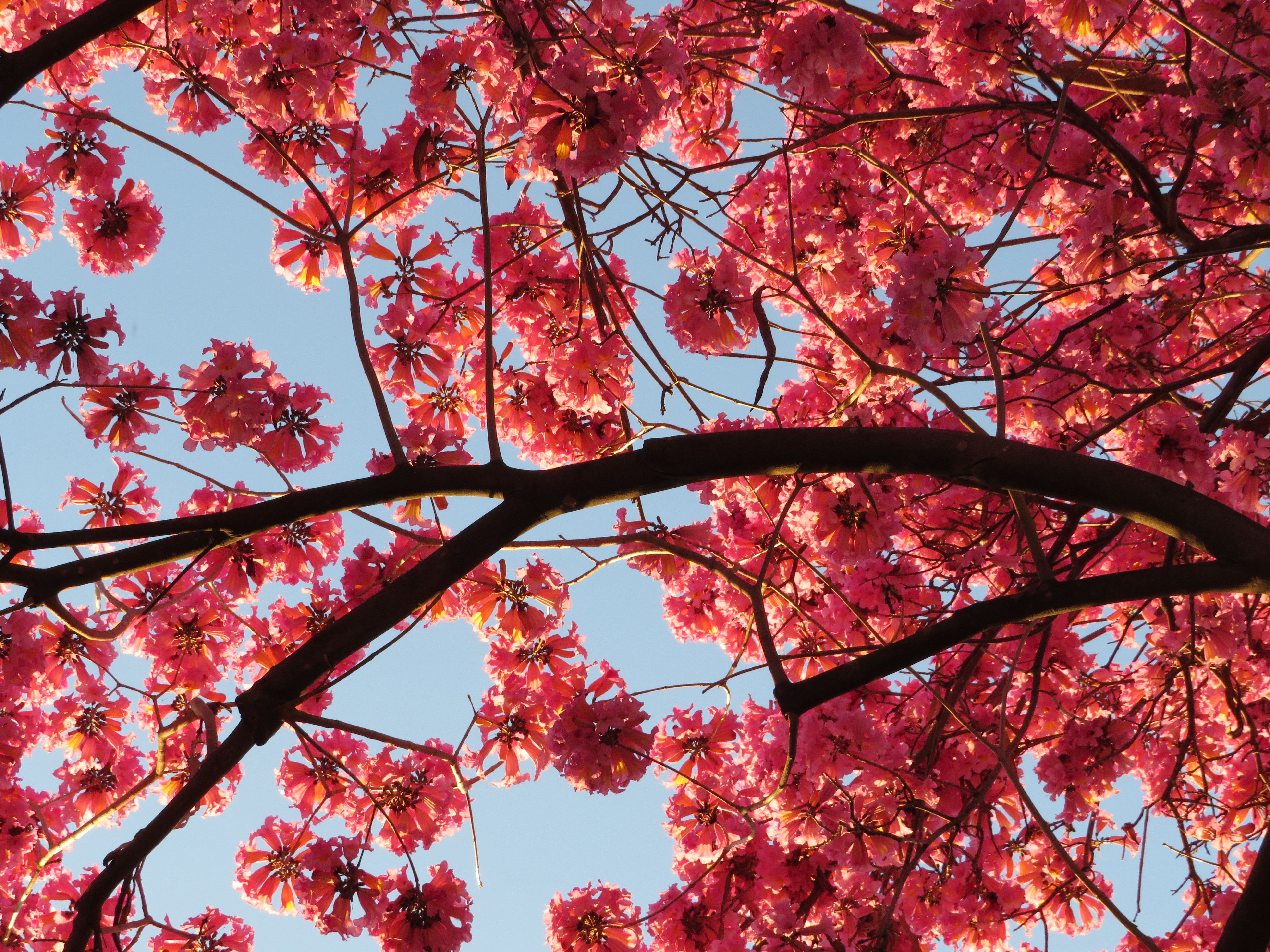 20210403074113_IMG_1475