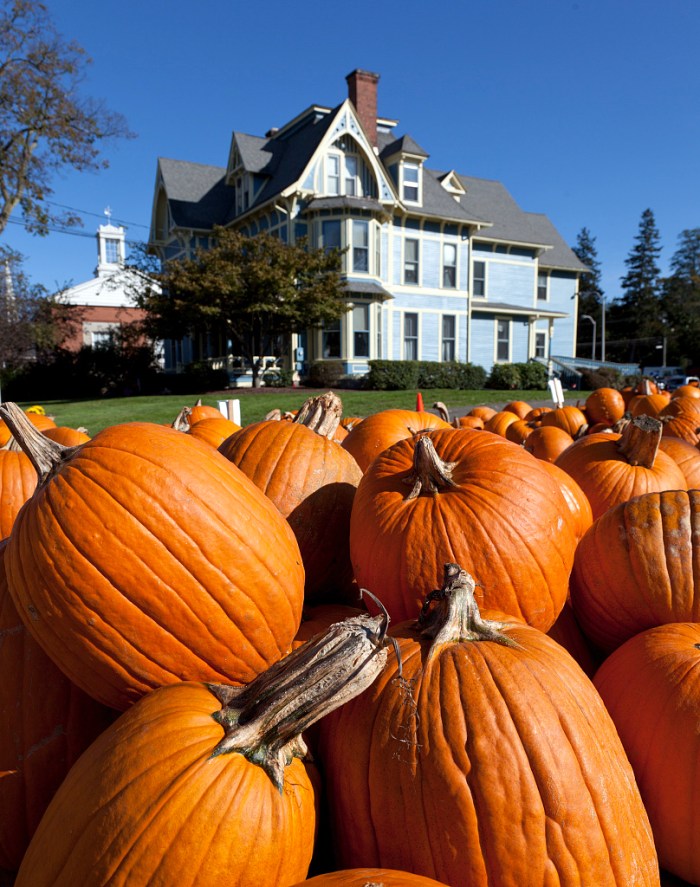 service-pnp-highsm-19800-19805v