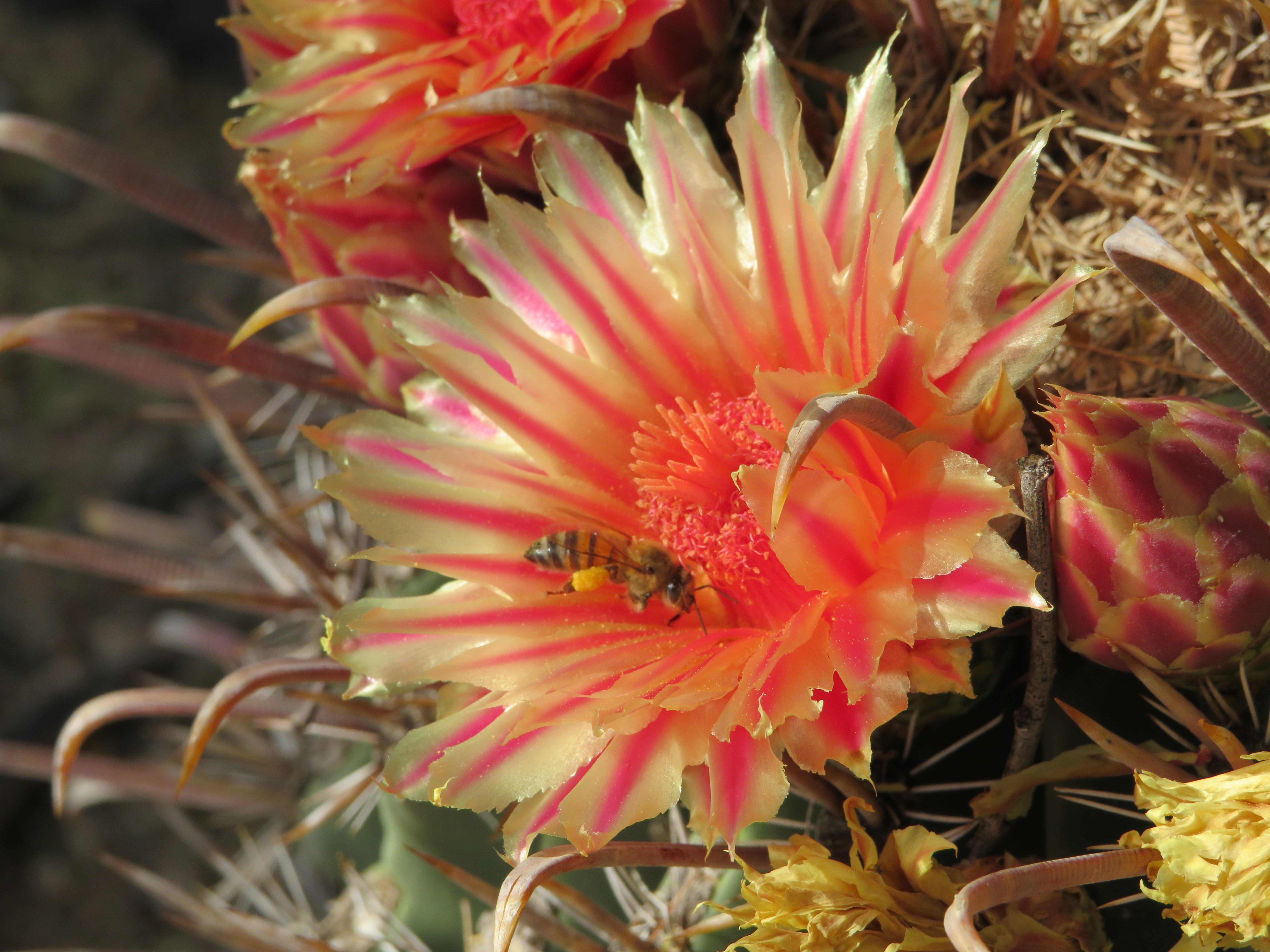 20211023031121_IMG_2374