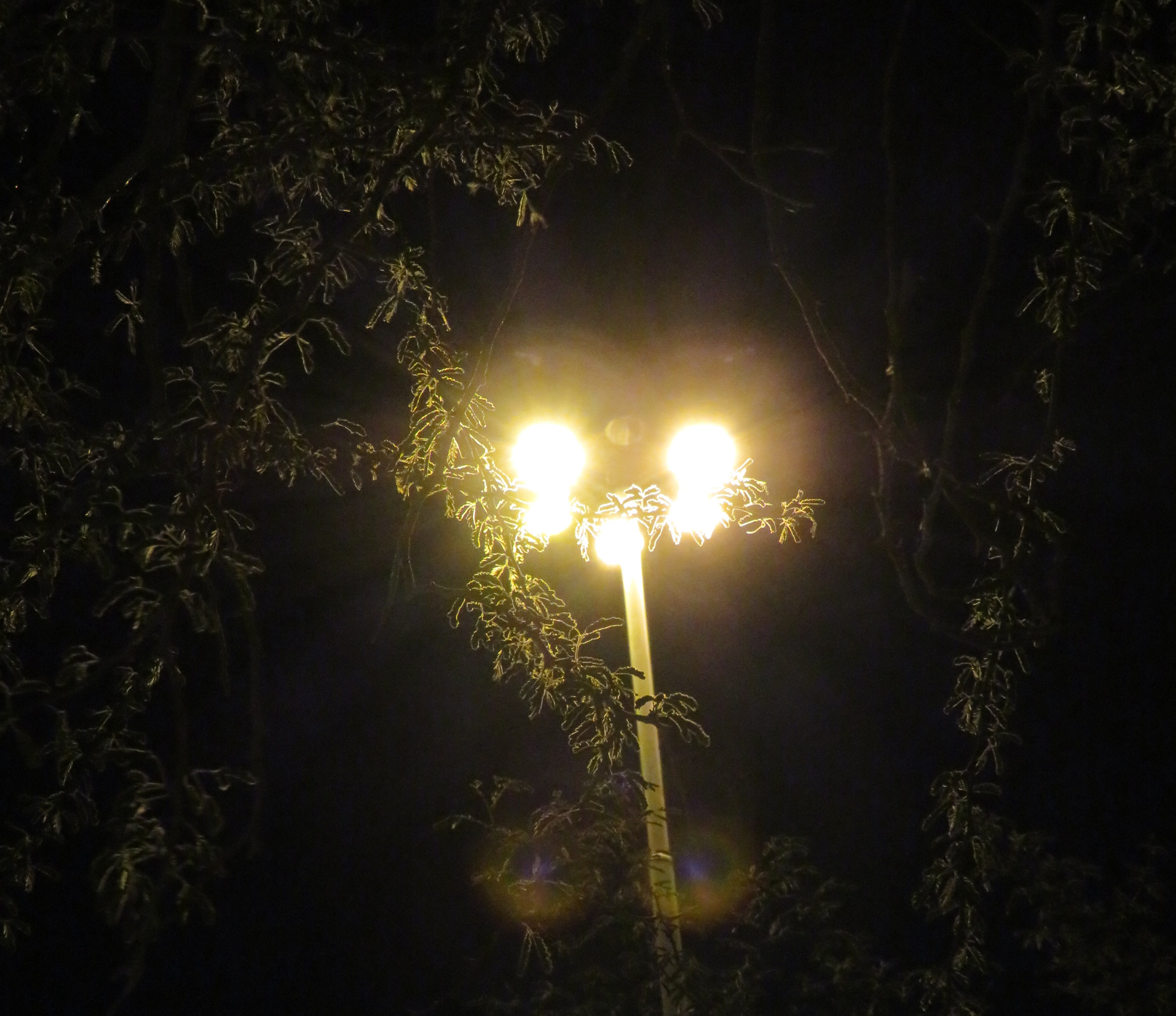 20211024073307_IMG_2543(1)