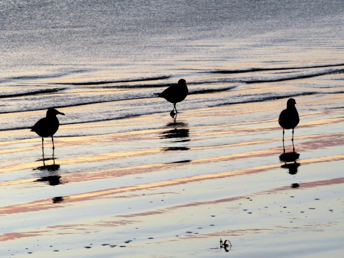 20201106070449_IMG_1202