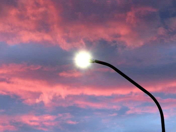 20210803081311_IMG_2302