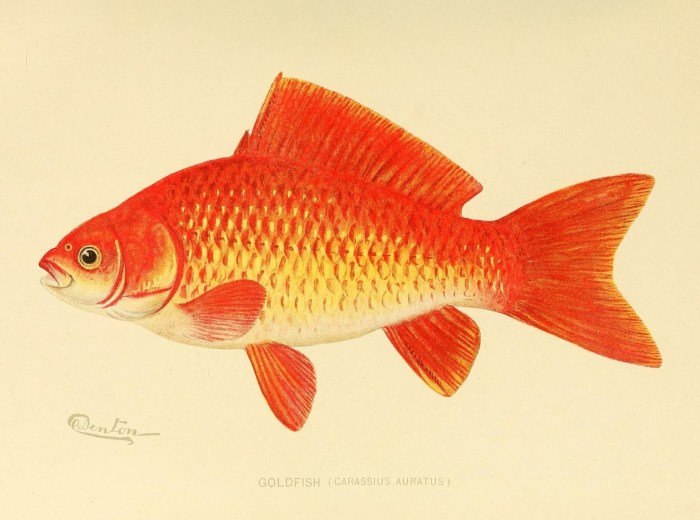 7506916742_3886ef474c_o