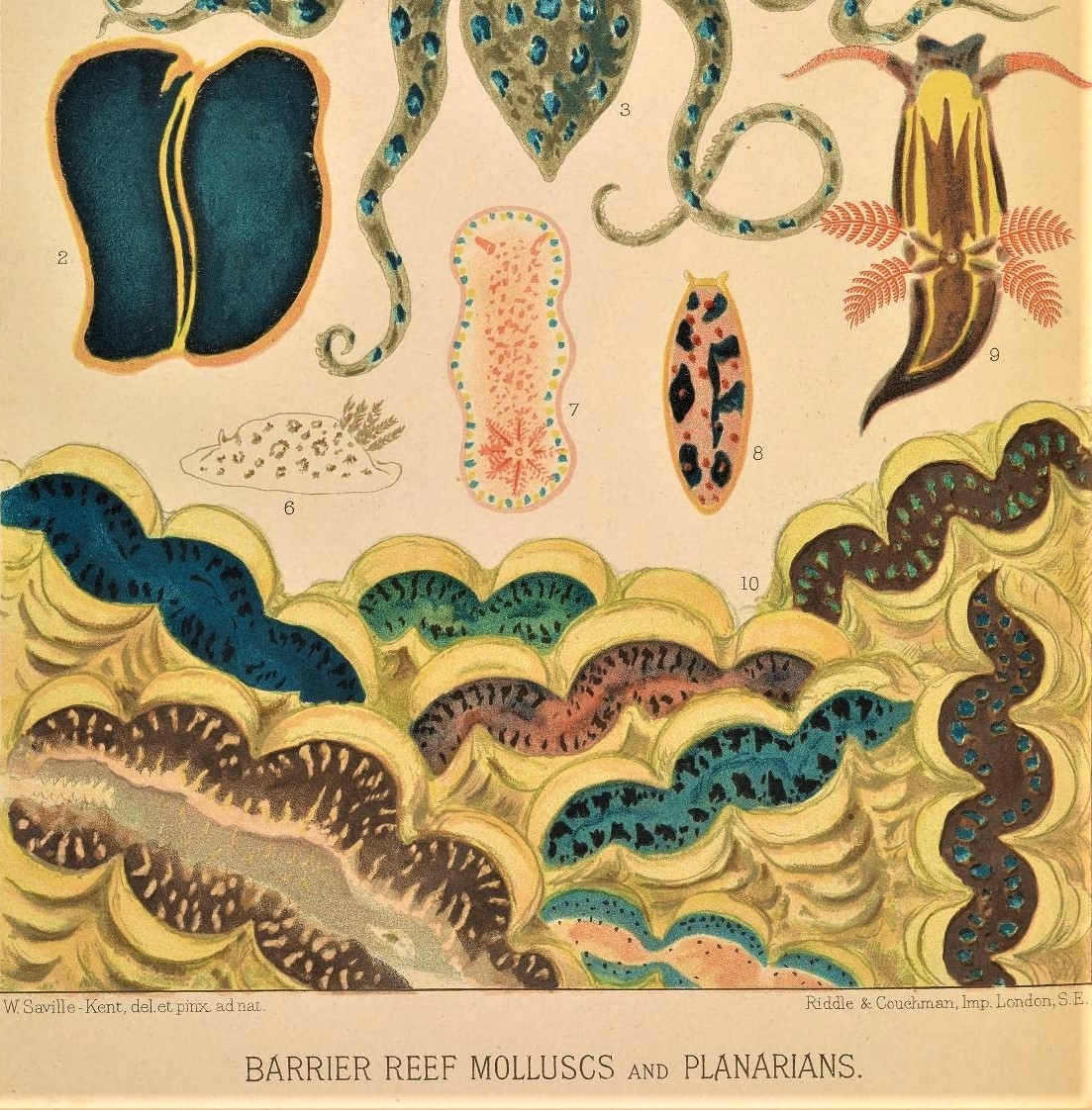 7044672793_bd23a8f608_o