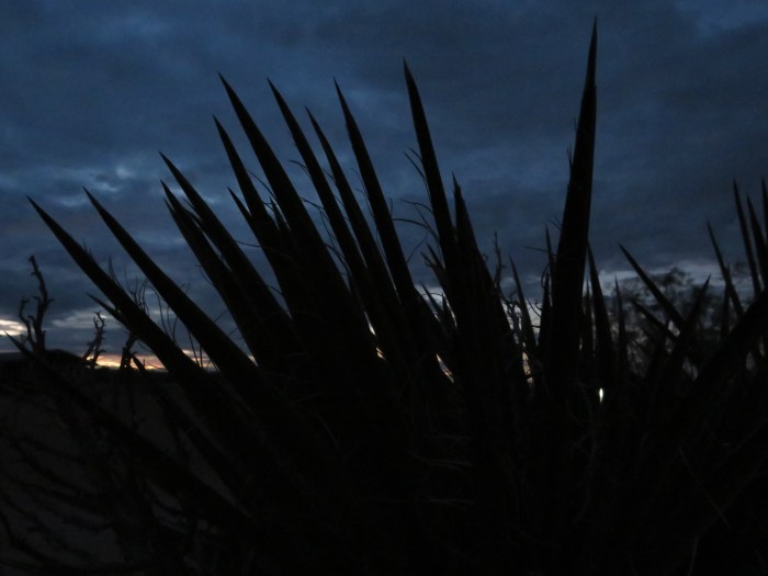 20211222071116_IMG_3073