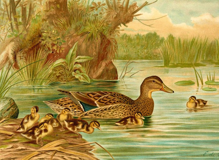 51098874826_f041ddb320_o (1)