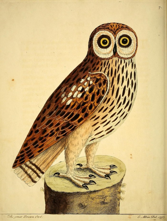 9495763530_ac351a4211_o