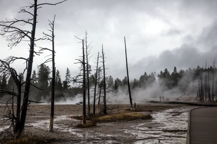 iiif-service_pnp_highsm_35400_35420-full-pct_25-0-default