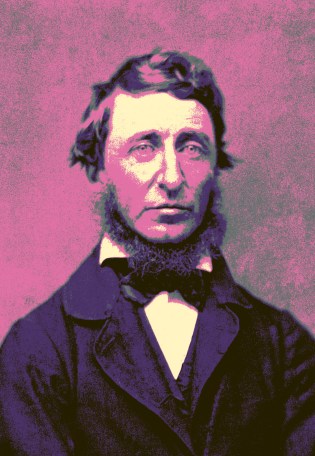 imgonline-com-ua-andy-warhol-rVfEVH7gPnFP