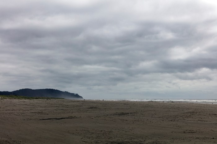 service-pnp-highsm-50400-50459v