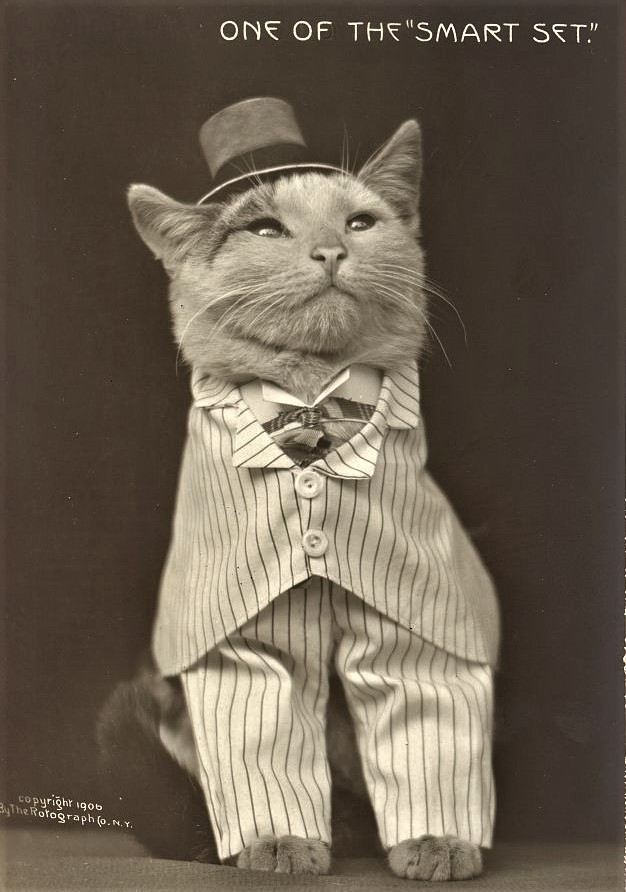 service-pnp-ppmsca-19000-19072v