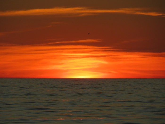 20220211073818_IMG_3152