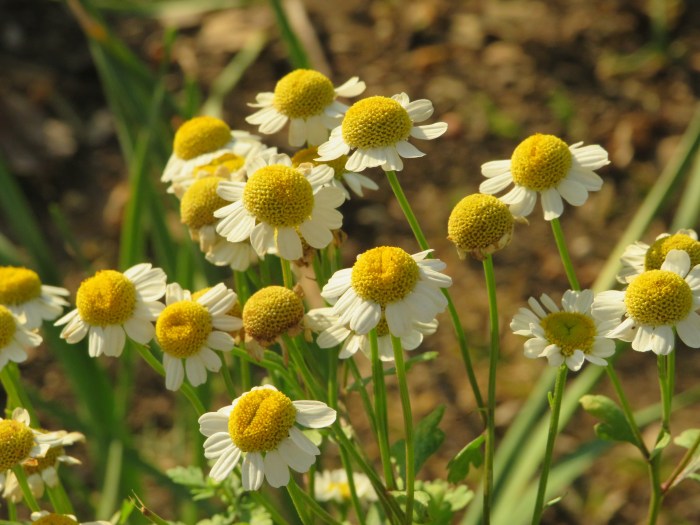 20220302061602_IMG_3351