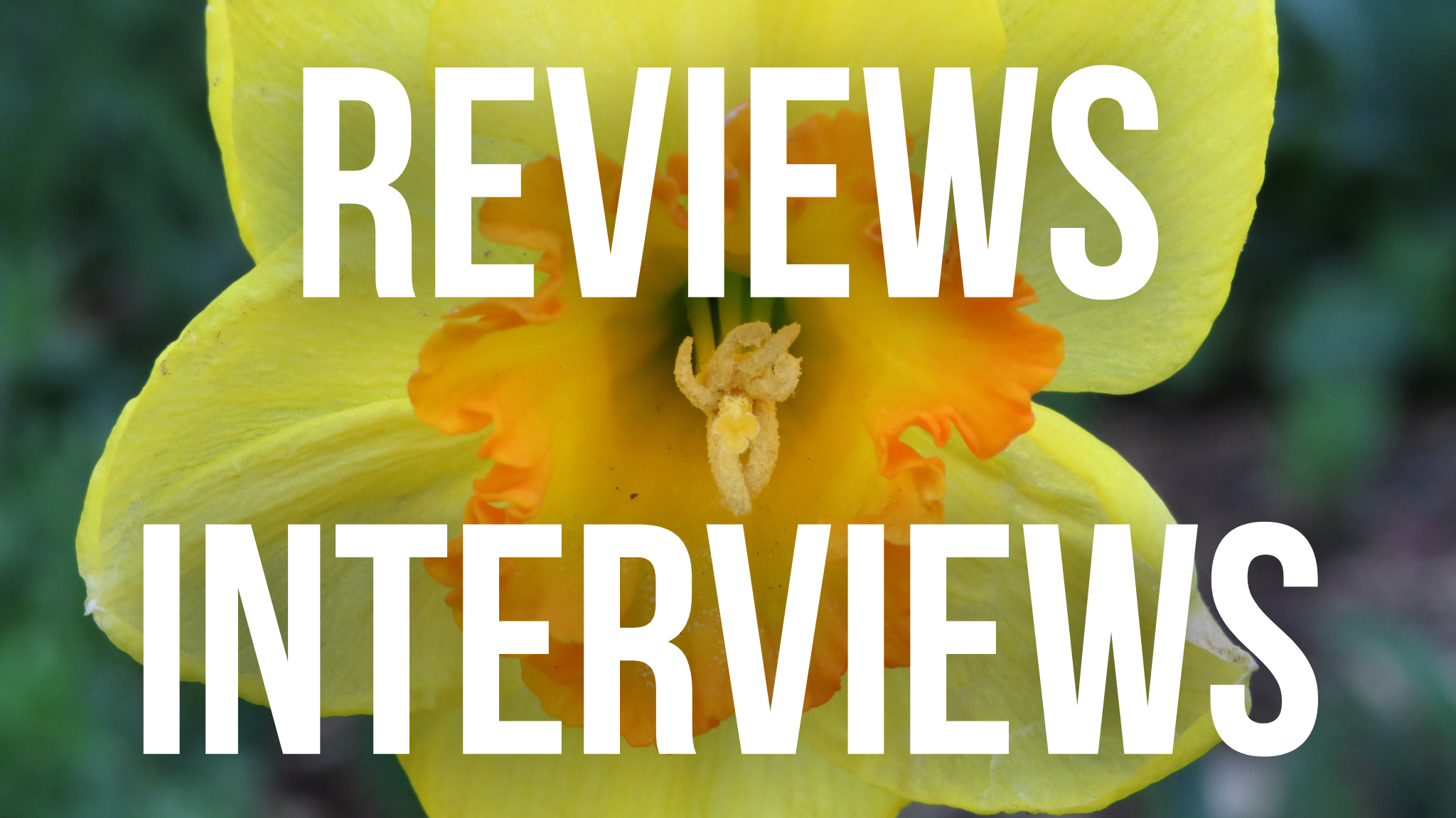 Reviews Interviews